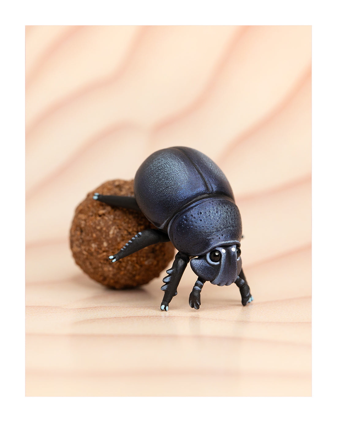 Dung Beetle Fine Art Print – 16x20 inch