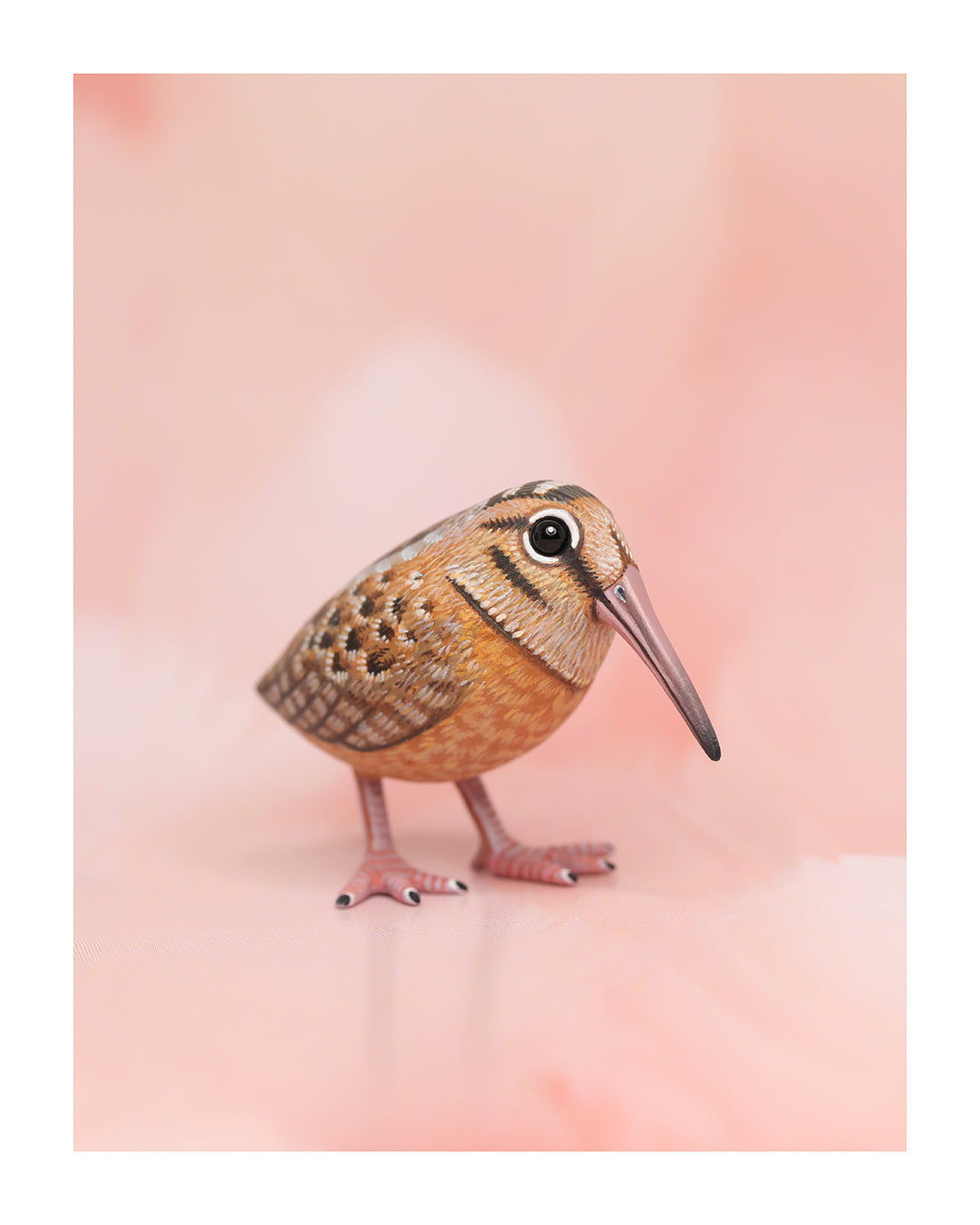 American Woodcock Fine Art Print – 16x20 inch