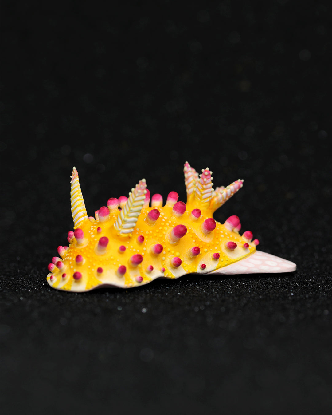Cadlinella Nudibranch – Handmade Sculpture OOAK