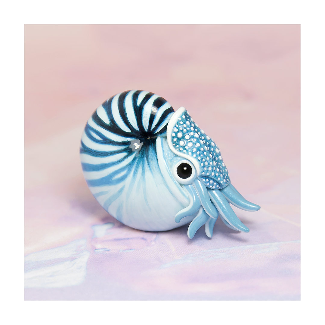 Nautilus Fine Art Print – 16x16 inch