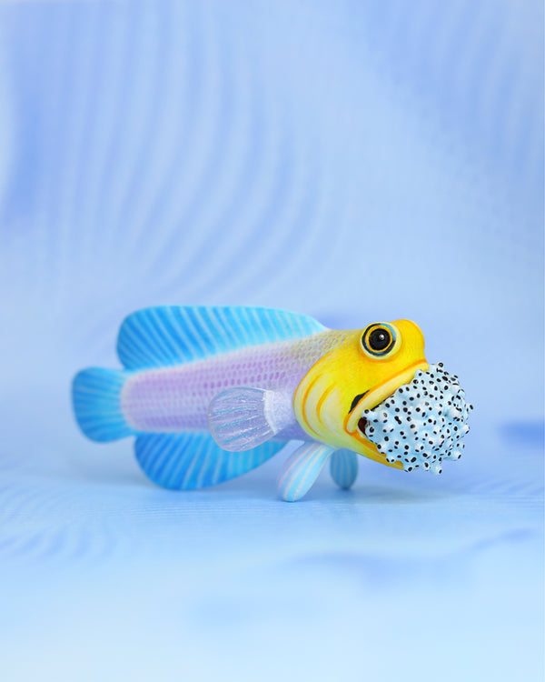 Yellowhead Jawfish – Handmade Sculpture OOAK