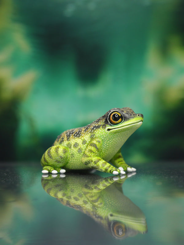 Black-spotted Rock Frog – Handmade Sculpture OOAK