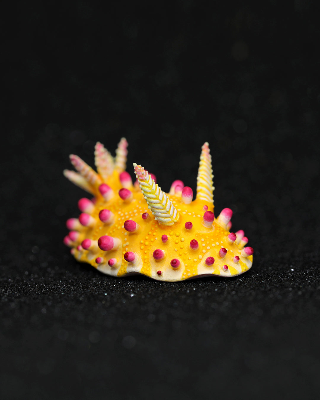 Cadlinella Nudibranch – Handmade Sculpture OOAK
