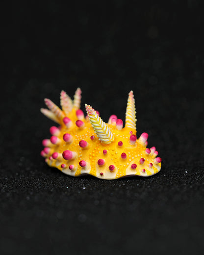 Cadlinella Nudibranch – Handmade Sculpture OOAK