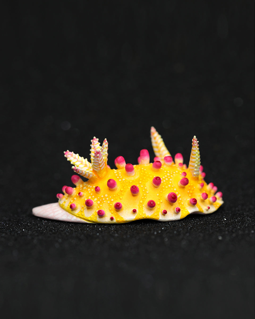 Cadlinella Nudibranch – Handmade Sculpture OOAK