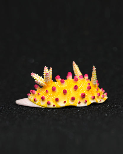 Cadlinella Nudibranch – Handmade Sculpture OOAK