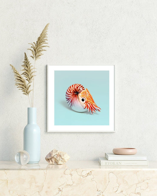 Nautilus Fine Art Print – 16x16 inch