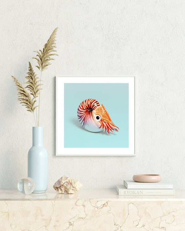 Nautilus Fine Art Print – 16x16 inch