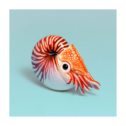 Nautilus Fine Art Print – 16x16 inch