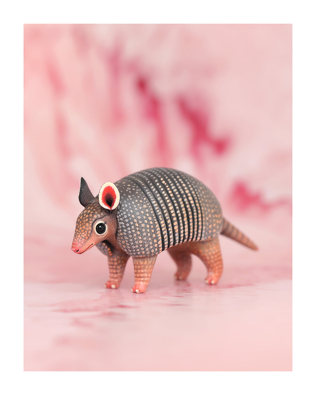 Armadillo Fine Art Print – 16x20 inch