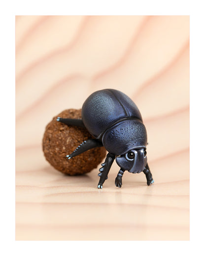 Dung Beetle Fine Art Print – 16x20 inch