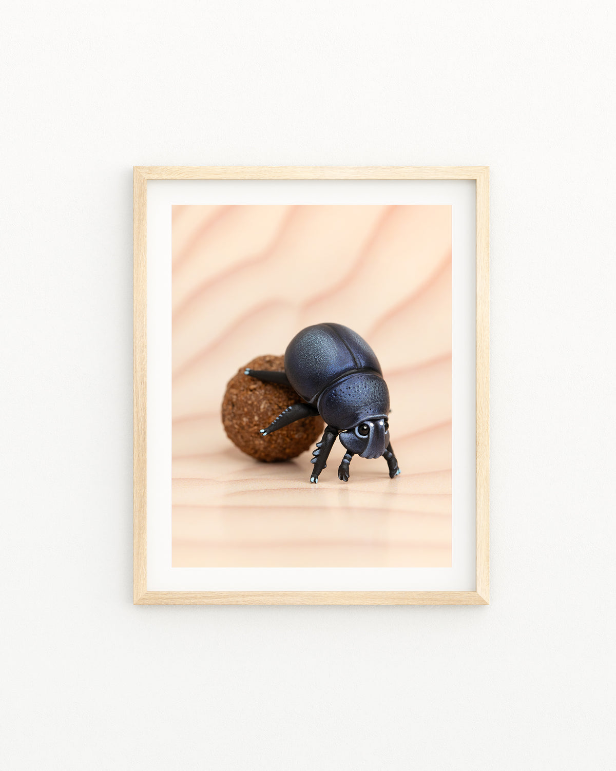 Dung Beetle Fine Art Print – 16x20 inch