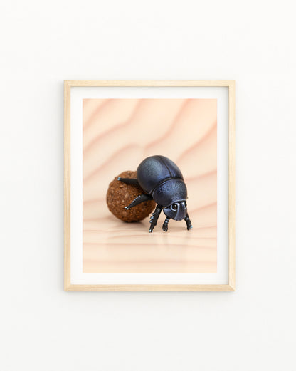 Dung Beetle Fine Art Print – 16x20 inch