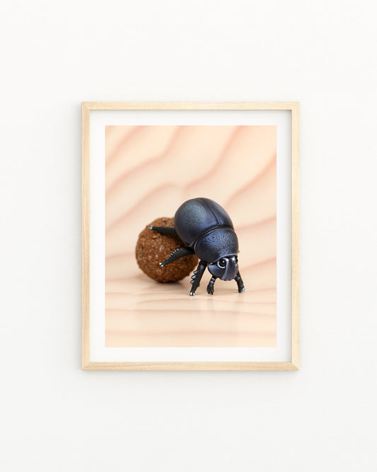 Dung Beetle Fine Art Print – 16x20 inch