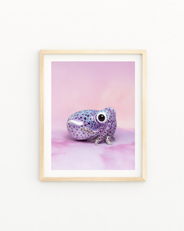 Bobtail Squid Fine Art Print – 16x20 inch