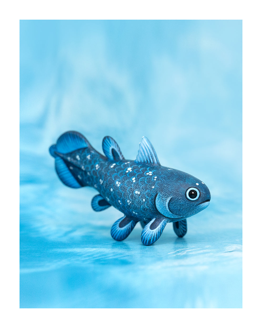 Coelacanth Fish Fine Art Print – 16x20 inch