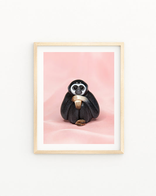 Gibbon Fine Art Print – 16x20 inch