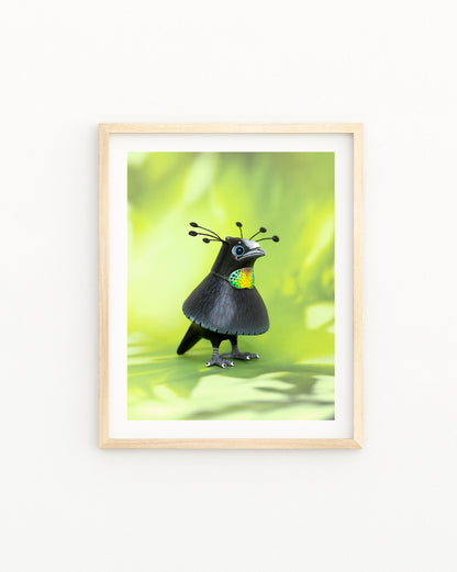 Parotia Bird Fine Art Print – 16x20 inch