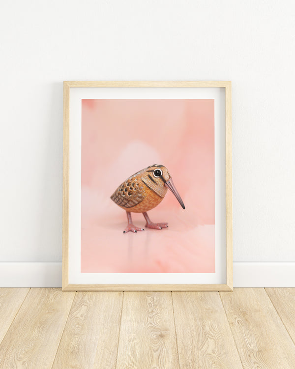 American Woodcock Fine Art Print – 16x20 inch