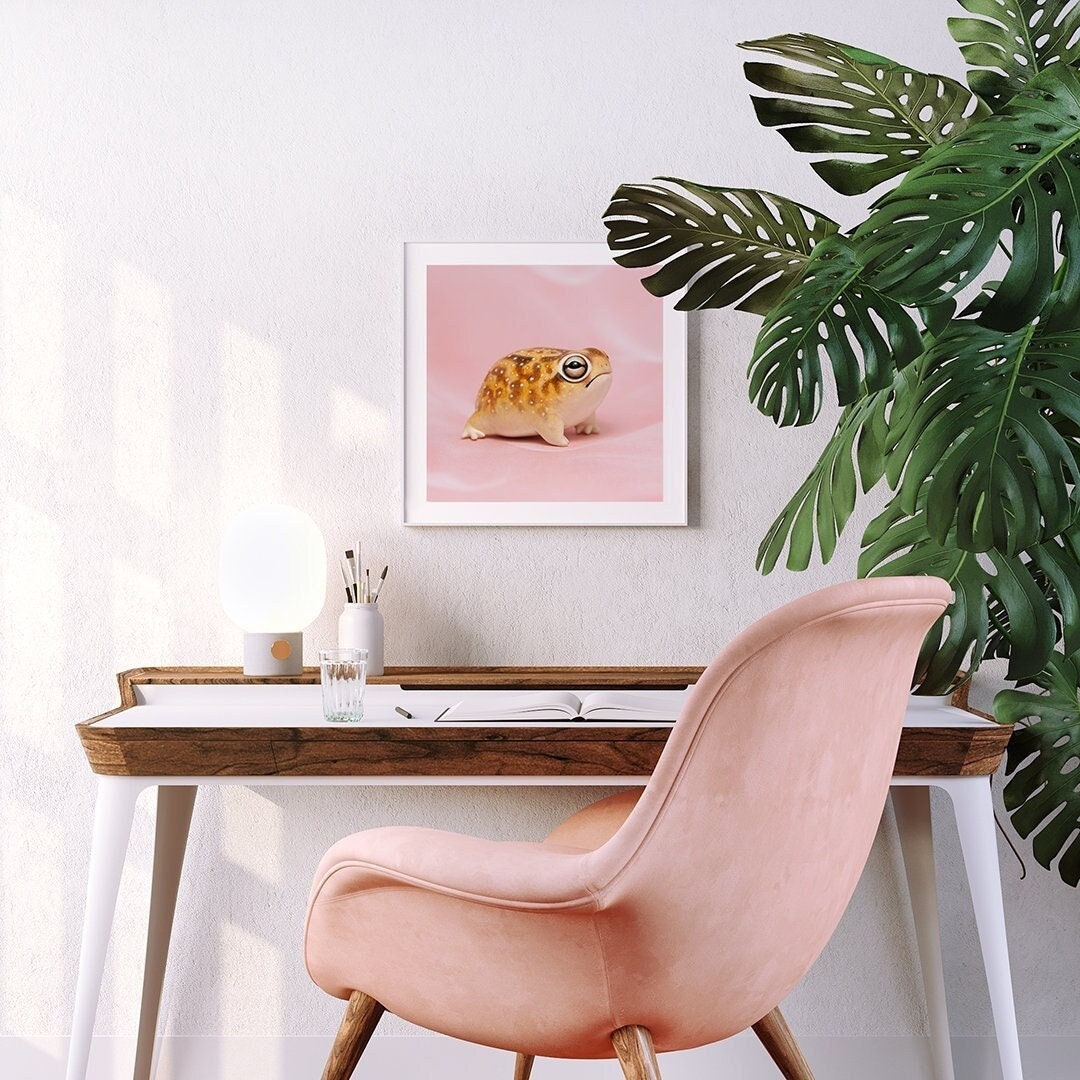 Desert Rain Frog Art Print – 16x16 inch