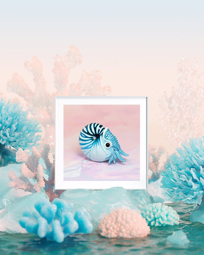 Nautilus Fine Art Print – 16x16 inch