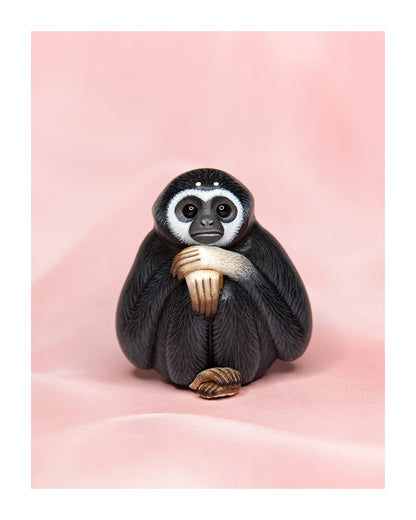 Gibbon Fine Art Print – 16x20 inch